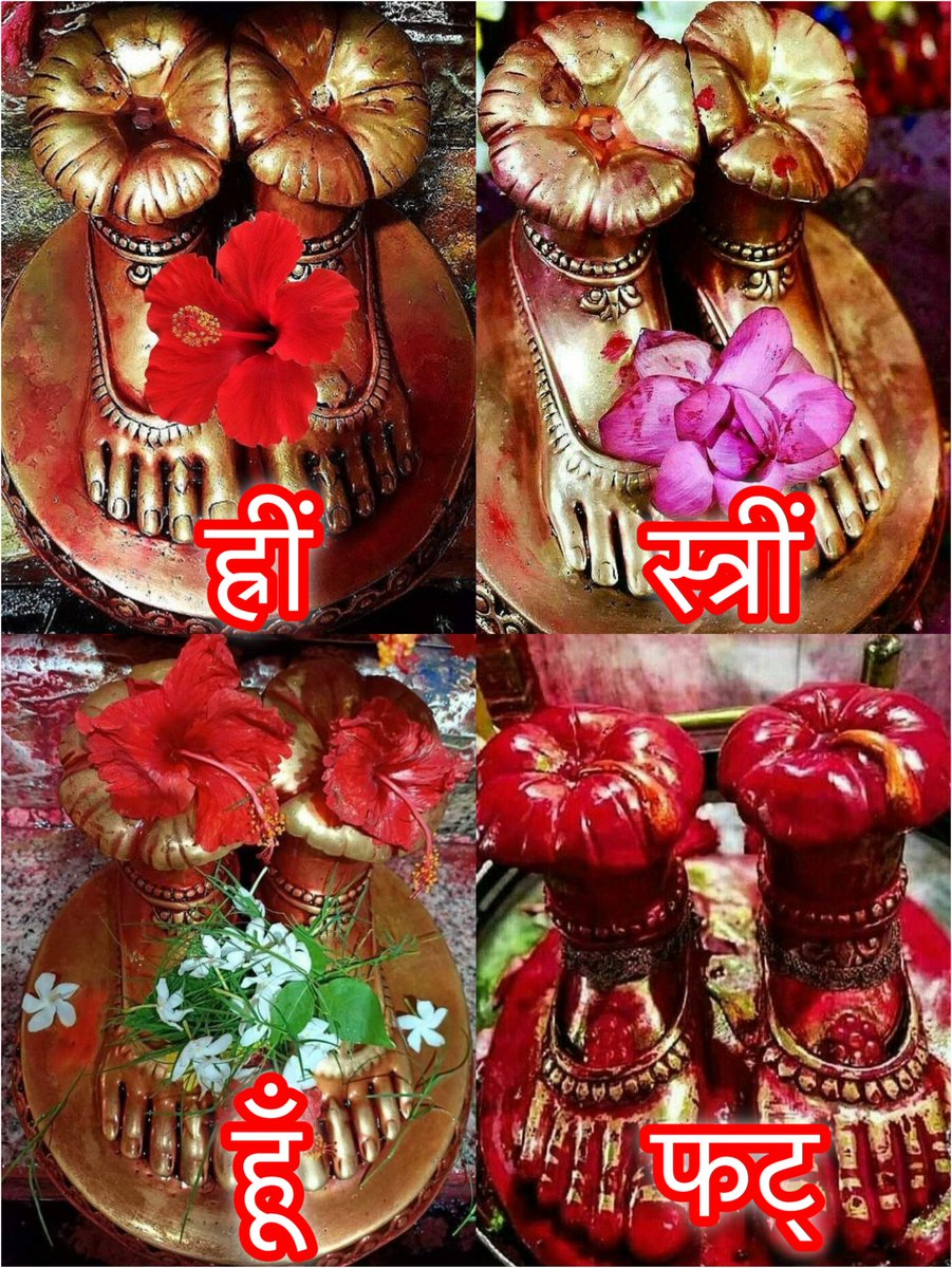 yajnshri's tweet image. जय माँ तारा ✨