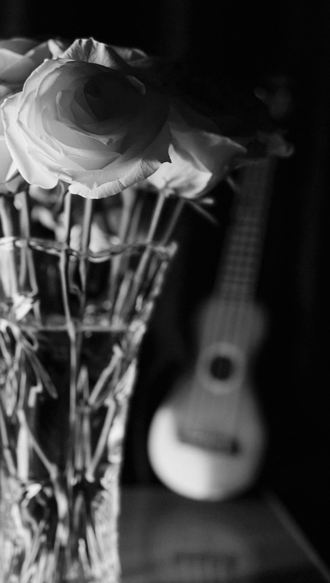 متعبه جداً ..
أشعر بالكثير من الألم داخلي ..
لا أستطيع أن أكتب ..
ولا أن أهرب منه ..
دهاليز الروح عجيبه ! ...♪