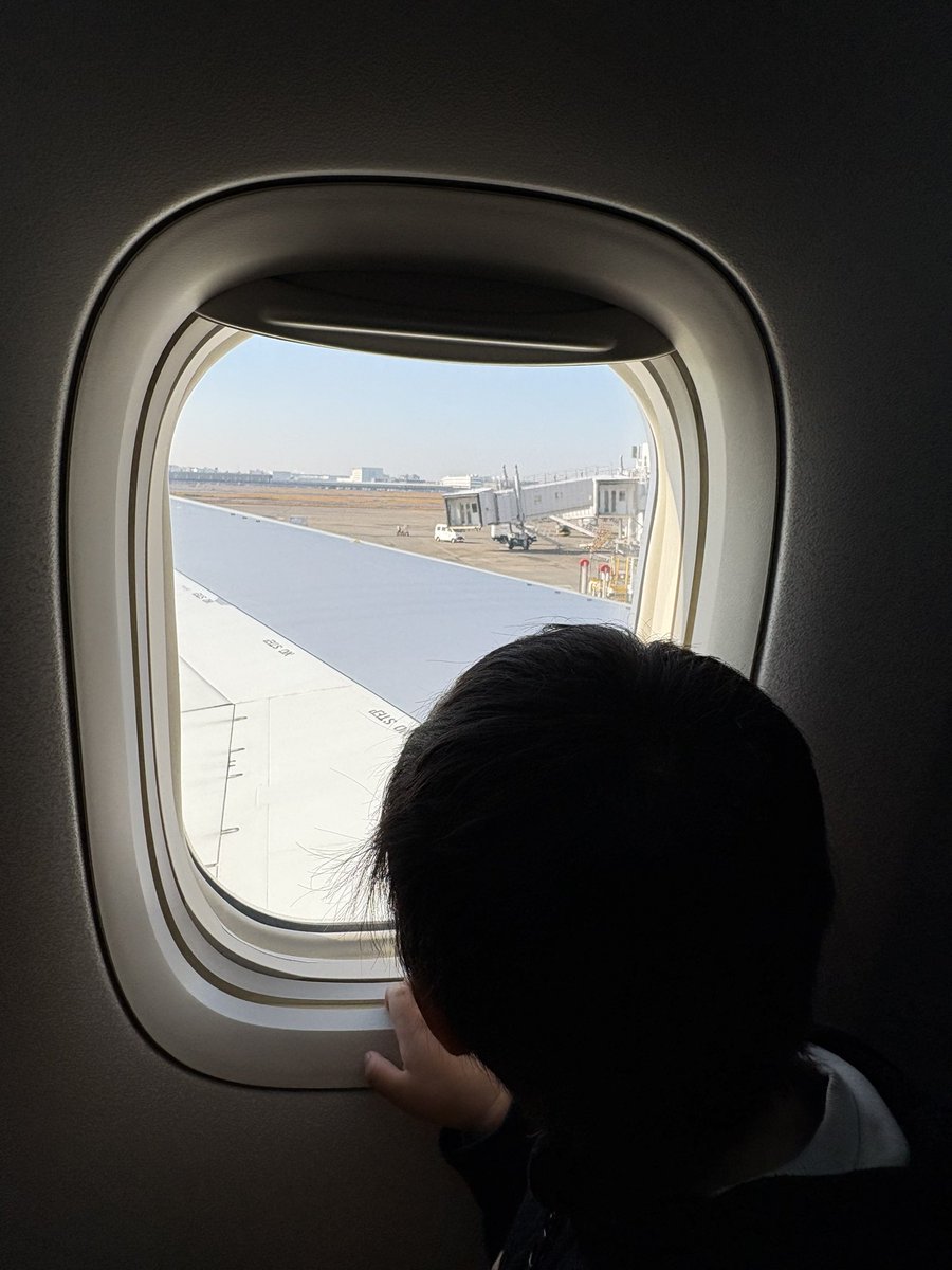 本日より1週間徳之島です！超過密なスケジュールですが壁画を二つ描いてきます！