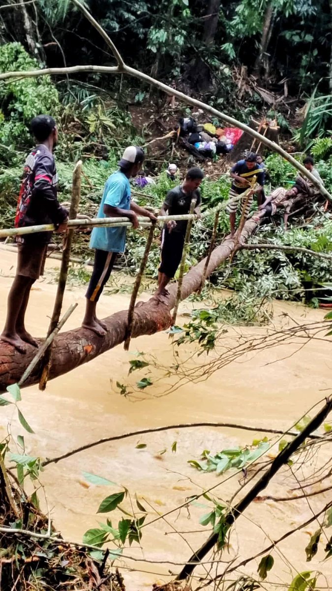 sirotek's tweet image. มิตรสหายท่านใดสะดวก ขอช่วยหน่อยครับ กลุ่มชาติพันธุ์ #มานิ ในอำเภอป่าบอน จังหวัดพัทลุง ต้องอพยพหนีน้ำป่าลงมาอยู่อาศัยด้านล่าง จำนวน 39 คน ขณะนี้ยังกลับขึ้นไปที่ทับ [บ้สน] ไม่ได้ ขอรับสิ่งของดังนี้ครับ
1. ผ้าห่ม 40 ผืน
2. ผ้าถุง 40 ผืน
3. ผ้าขาวม้า 40 ผืน 

มิตรสหายที่สะดวก…