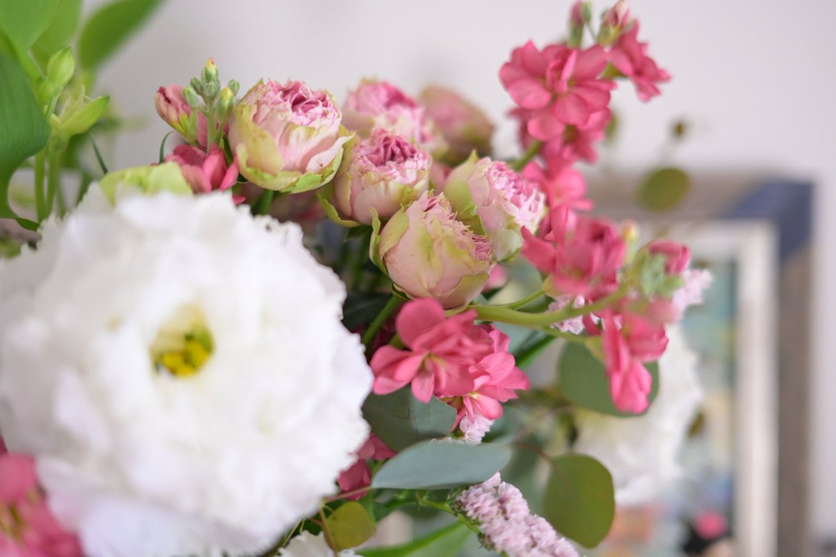 花っていいな。まだ間に合うから球根買いに行こうかな