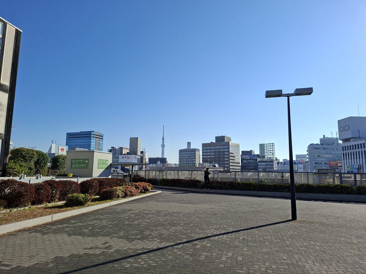 Tokyo, giornata di sole.