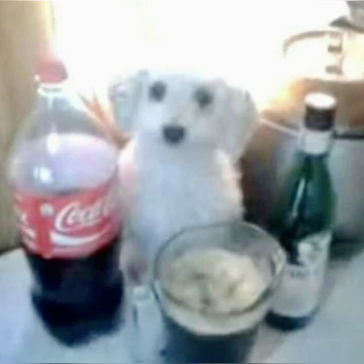 Ainda bem que peguei a assinatura do X por 5 reais, achei que era fácil para monetizar mas precisa seguir umas regras de números babado para começar a monetizar 🤡