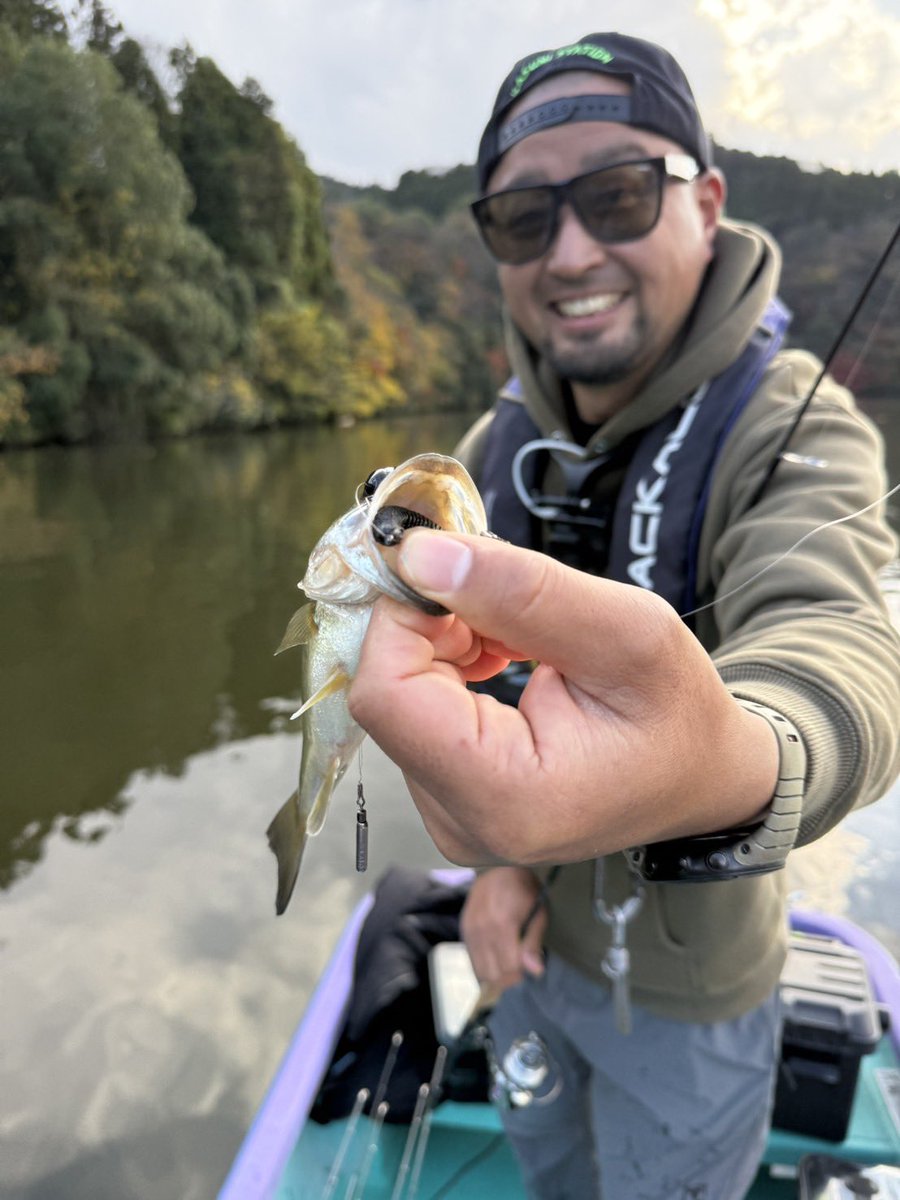 スパイキックスTACKLE］ JACKALL スパイキックス2.5(ブラック) JACKALL