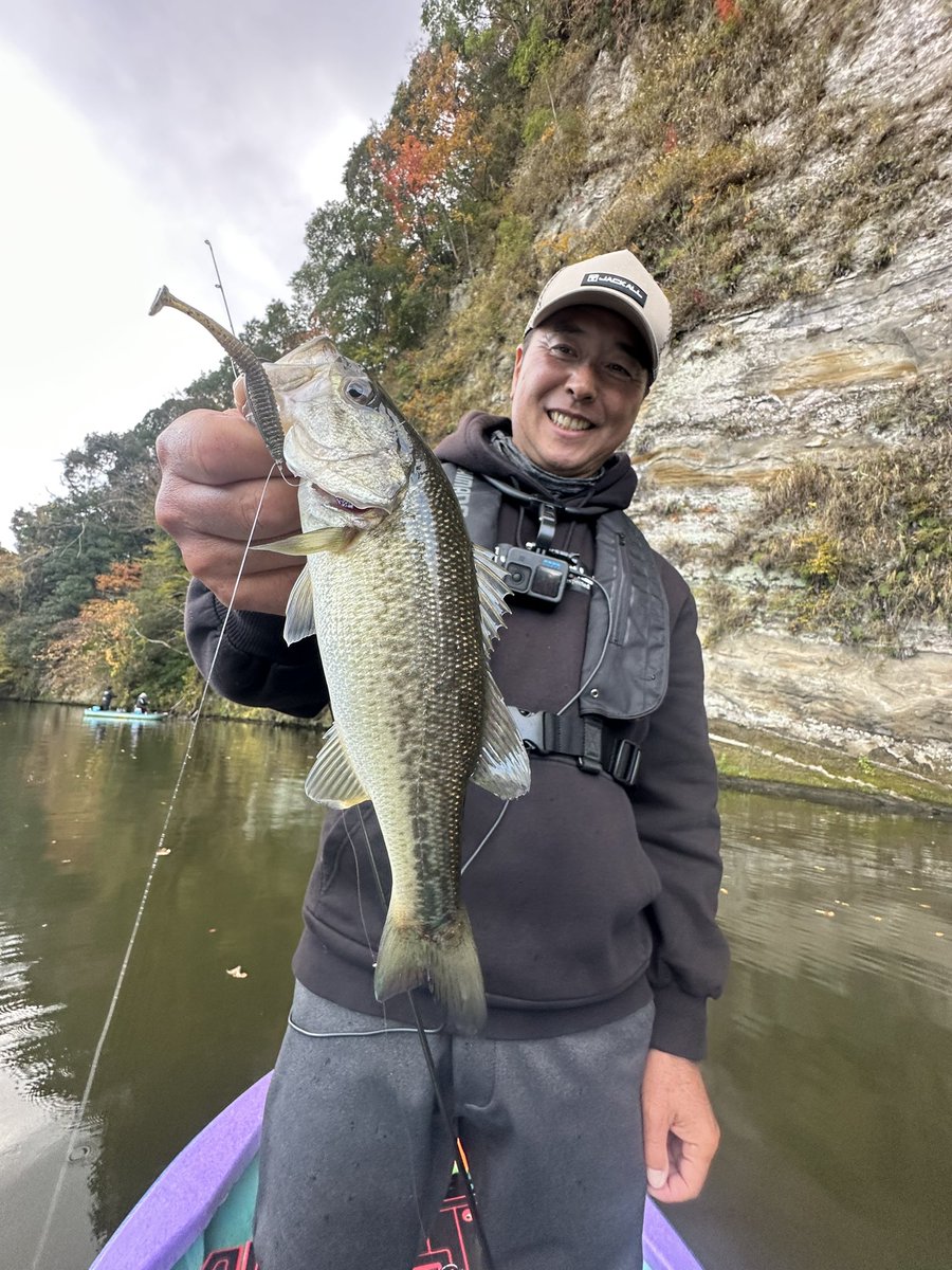 スパイキックスTACKLE］ JACKALL スパイキックス2.5(ブラック) JACKALL