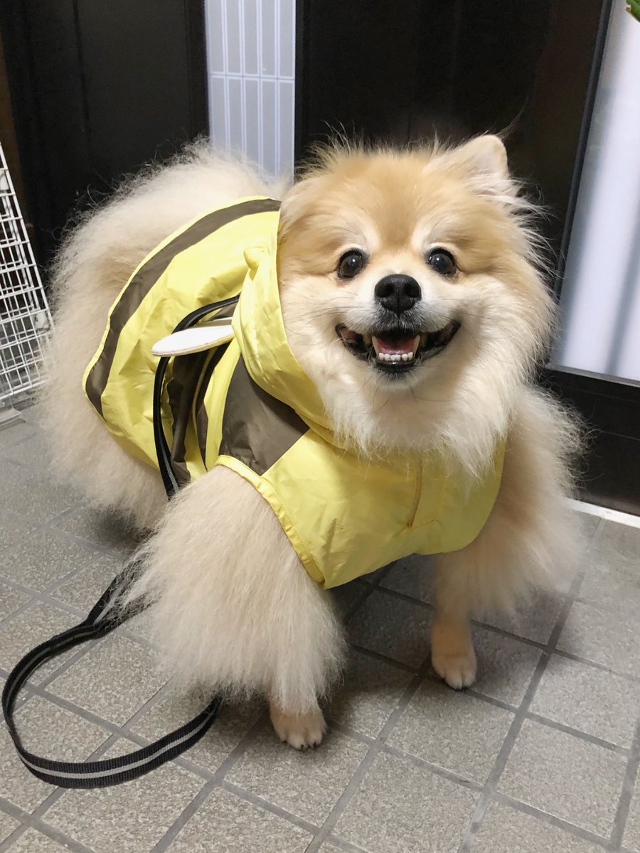 妖(よう) (@snow_white_999) / Posts / X