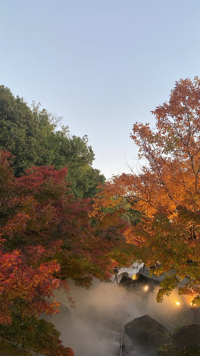 Rikuto_desu___'s tweet photo. なばなの里のイルミ行ったのにそれっぽい写真一ミリもない https://t.co/o6OOmI2HGE