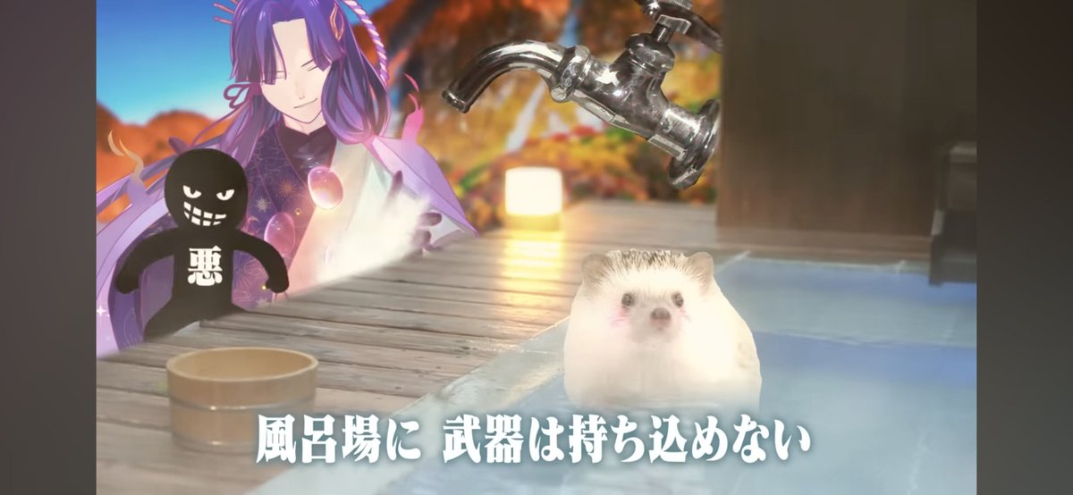 bubbledxt's tweet image. 돗쥐는 귀엽다