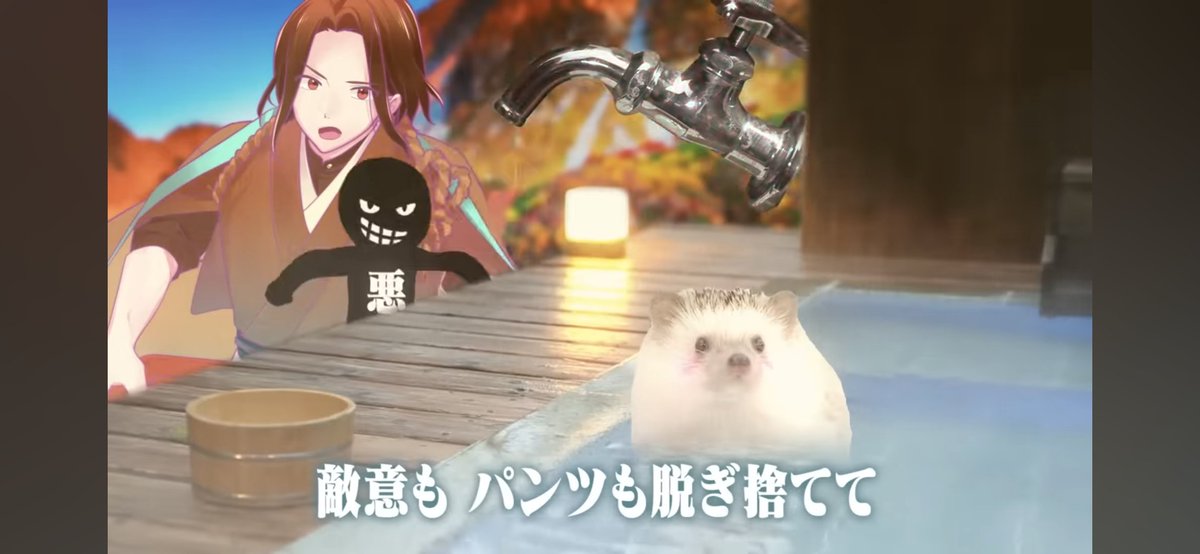 bubbledxt's tweet image. 돗쥐는 귀엽다