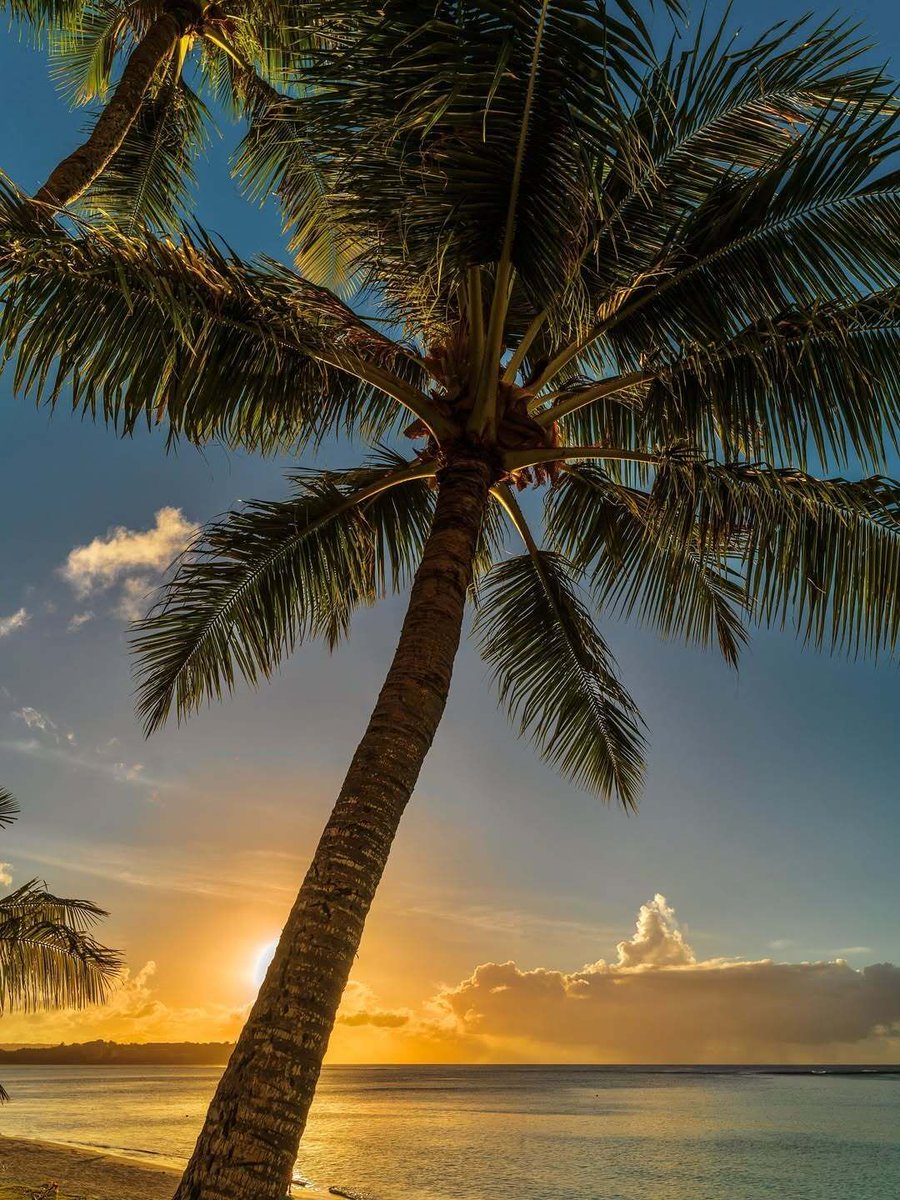 TheGuamGuide's tweet image. Biba Betnes! The Weekend is here. Whats the move? 👀 

📸: @johnesouterphotography 

#guam #guamguide #photography #islandlife #exploreguam #guamviews