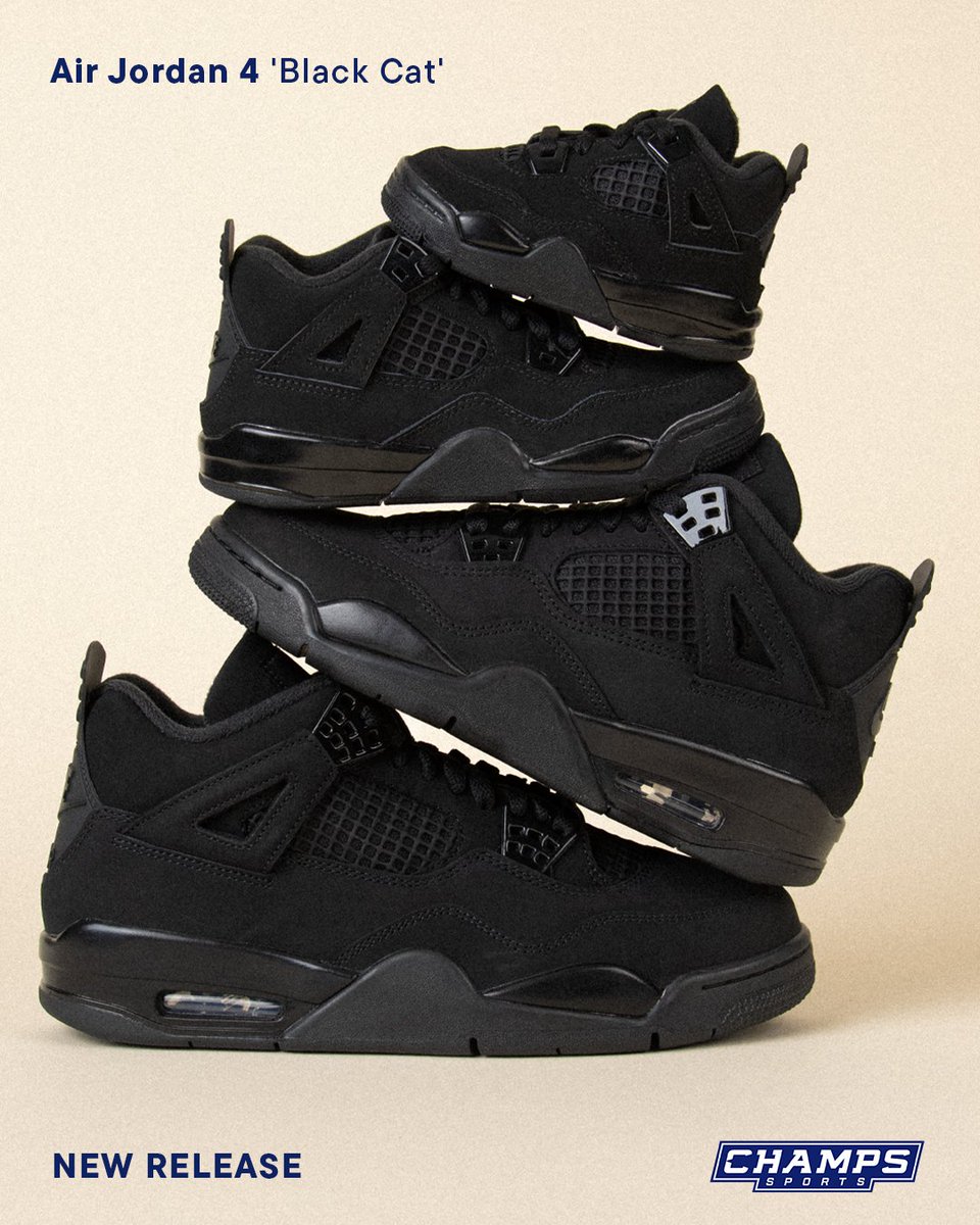 champs black cat 4