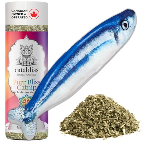 PatellaMaxilla's tweet image. I just received Catabliss Canadian Catnip 1 oz with Refillable Cat Kicker Blue Fish Toy | Fresh, Ethically Grown Joy - Blue from Azrael via Throne. Thank you! throne.com/patellamax #Wishlist #throne