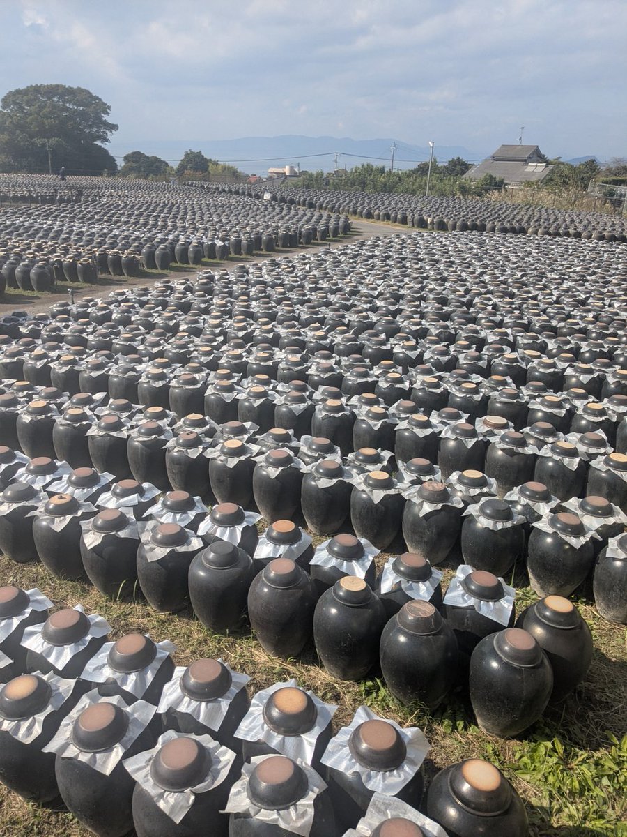 偉大なる酢🏺✨️