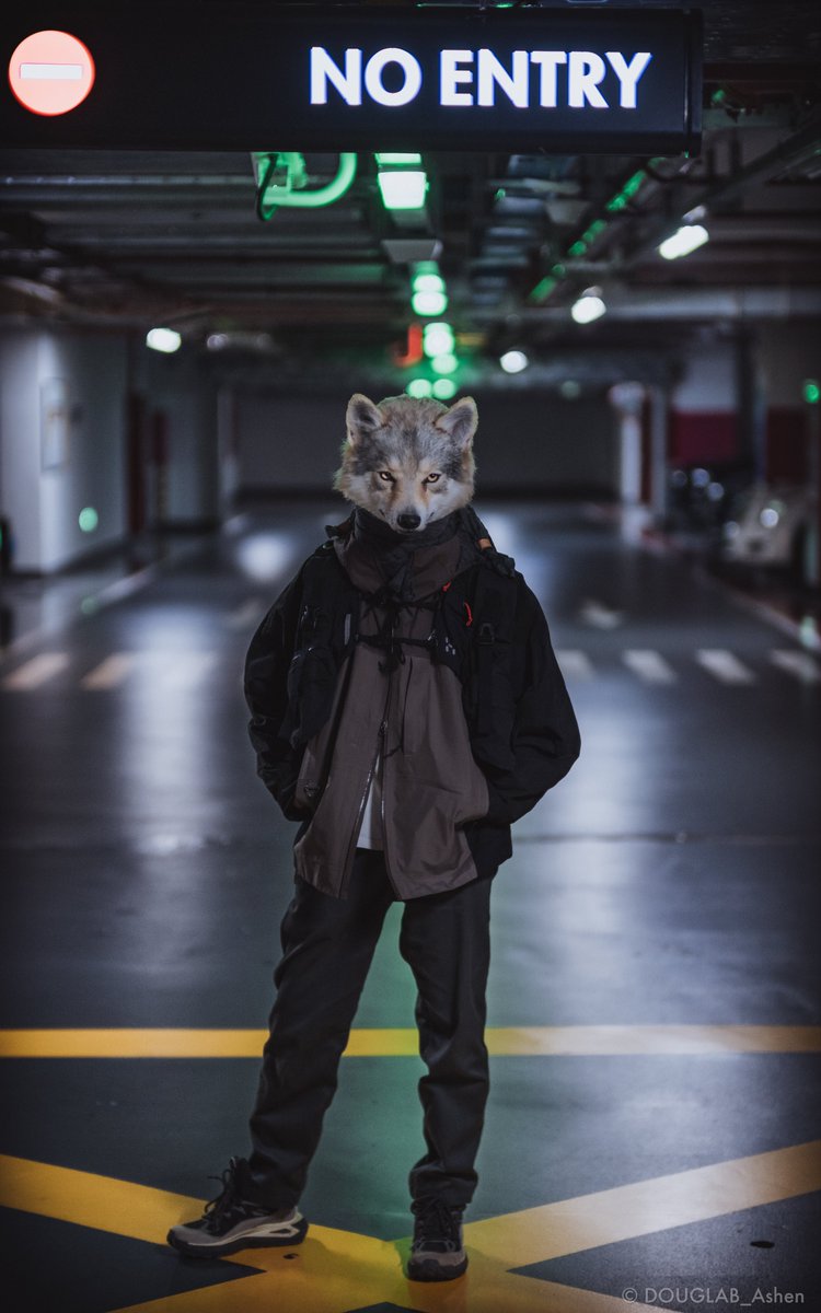 DOUGLAB_Ashen's tweet image. #FursuitFriday
#DOUGLAB

📷：@airlemi