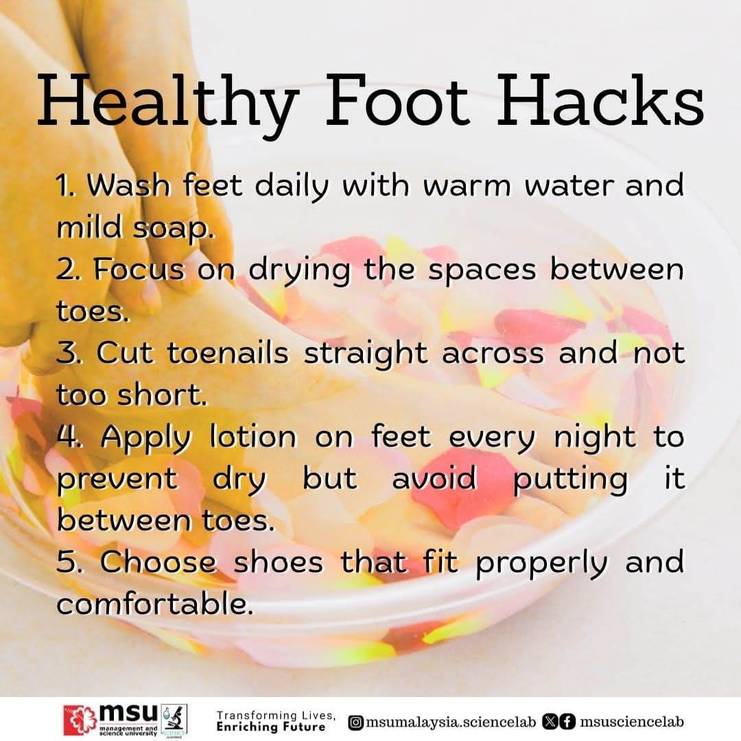 MSUsciencelab's tweet image. Keeping our feet healthy starts with simple daily habits 👣✨
Check out these easy foot-care hacks to stay clean, comfy, and confident every day #MSUrians !

#MSUScienceLab 
#FootHealth
#WellnessJourney 
#FootFacts
#MSUmalaysia