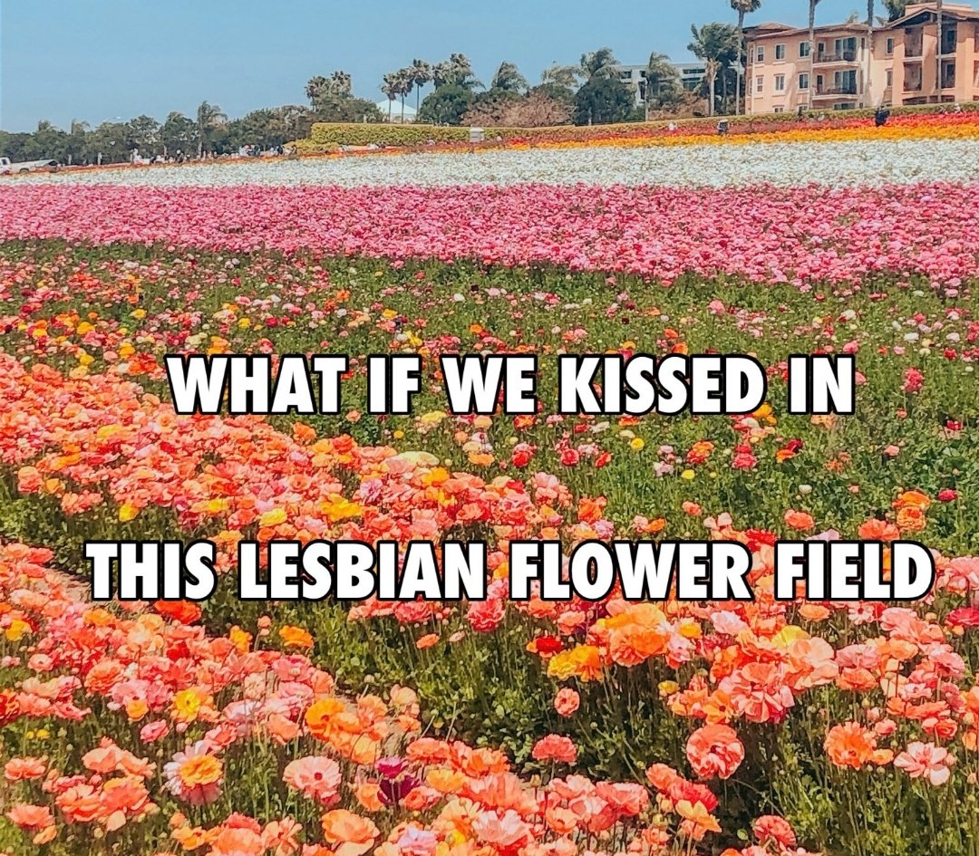 sapphicslike's tweet image. 