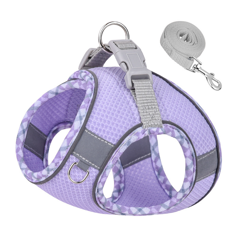 chaley2085's tweet photo. Best-sellingl dog harness &amp; leash set, different color and size for choose, always have one for you.

Which one you prefer? Welcome to DM us for more choice.

#dogharness #dogleash #dogleashfactory #dogharnessfactory #petcare #petoutdoor #dogwalking  #petprotection #dogsafety https://t.co/UVdbdxnabV