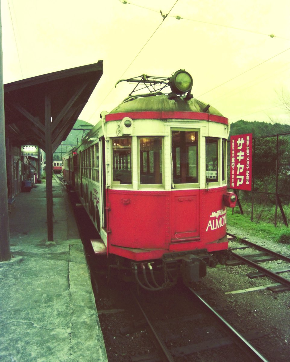 わんこ (@c4Y2v9RCk6l5pCA) / Posts / X