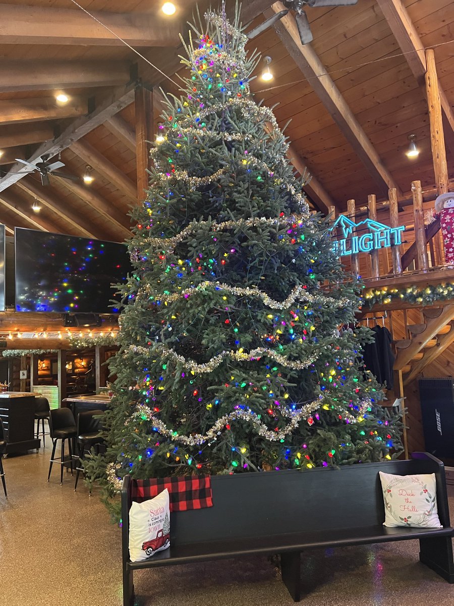 HanvxBoyd's tweet image. Went to my friends bar today. He always puts up an awesome tree.
