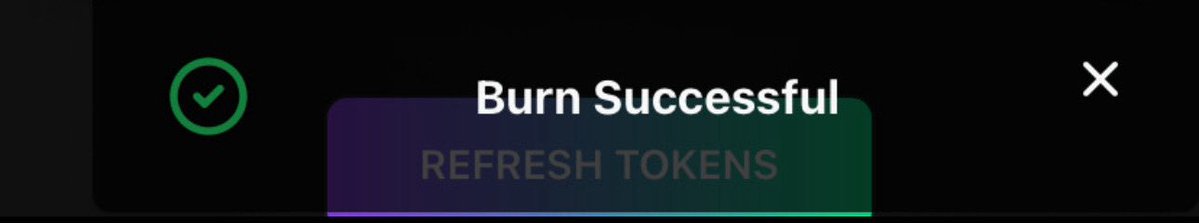 wopillcto's tweet image. BURN BABY 🔥🔥🔥$Wopill 

A sacrifice For the community #CTO

#wopill #memecoins #burn #solana