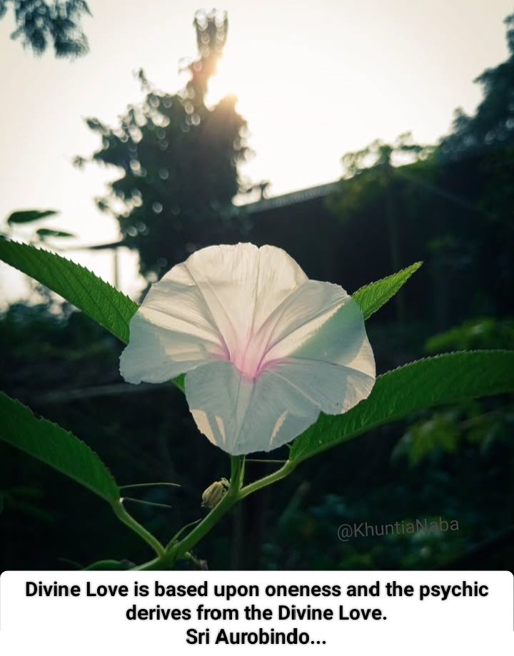 Divine Love is based upon oneness and the psychic derives from the Divine Love.

Sri Aurobindo...
Letters on Yoga - II

#SriAurobindo
#TheMother
#Divine
#Love