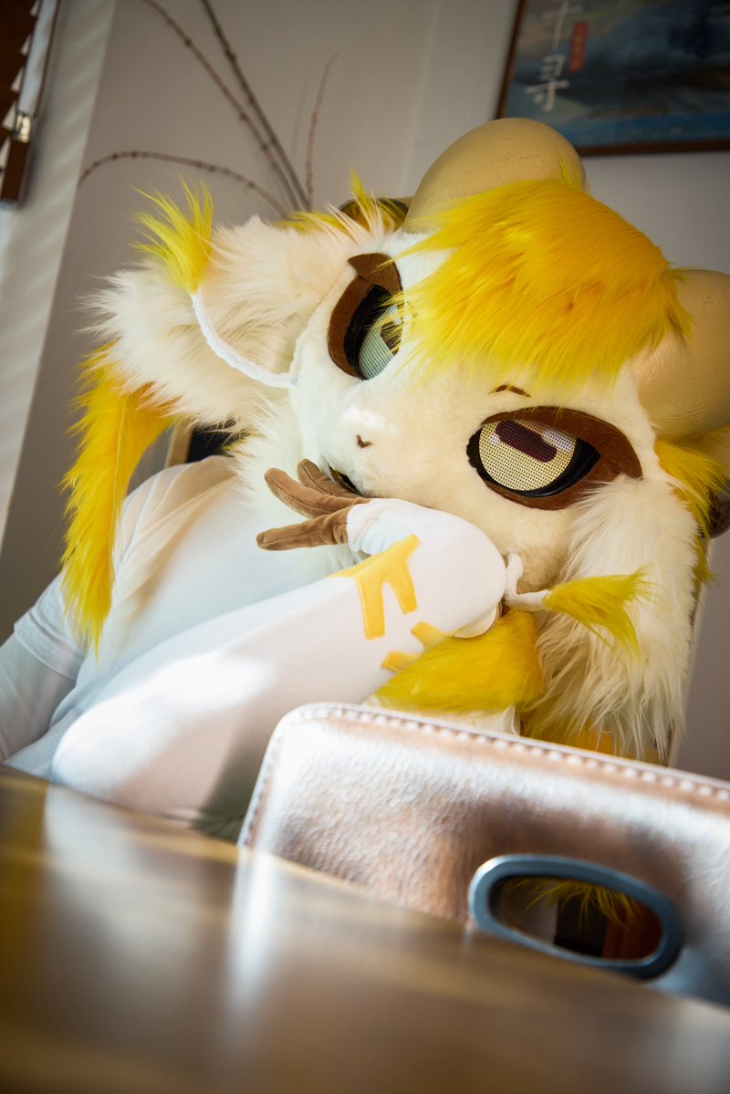 Starlightpine's tweet image. #fursuitfriday
춥다 적셔.

📸:@ guni1636