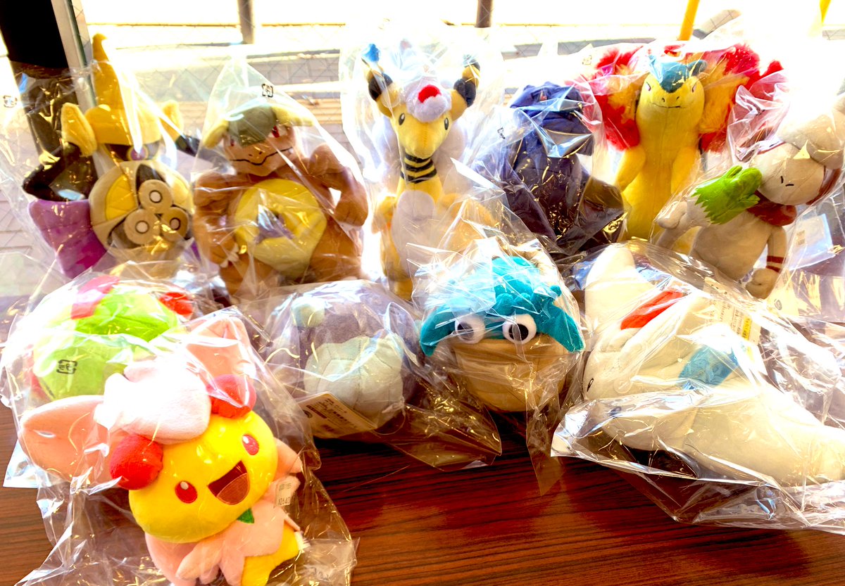 アーマーガアやネイティなど人気ポケモンのぬいぐるみが新発売です