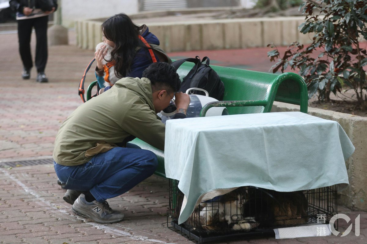 Pet owners reunited with their beloved fur babies after a long sleepless night 🥲

Some heartless ppl said firefighters should prioritise saving human but Hong Kong firefighters showed us they cherish all lives. Animals’ lives are precious too😭