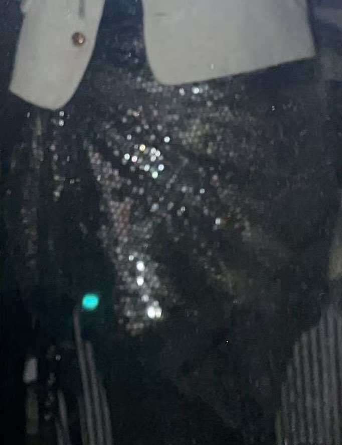 买了一条绝美闪片裙，年纪大了就喜欢搞点以前喜欢的