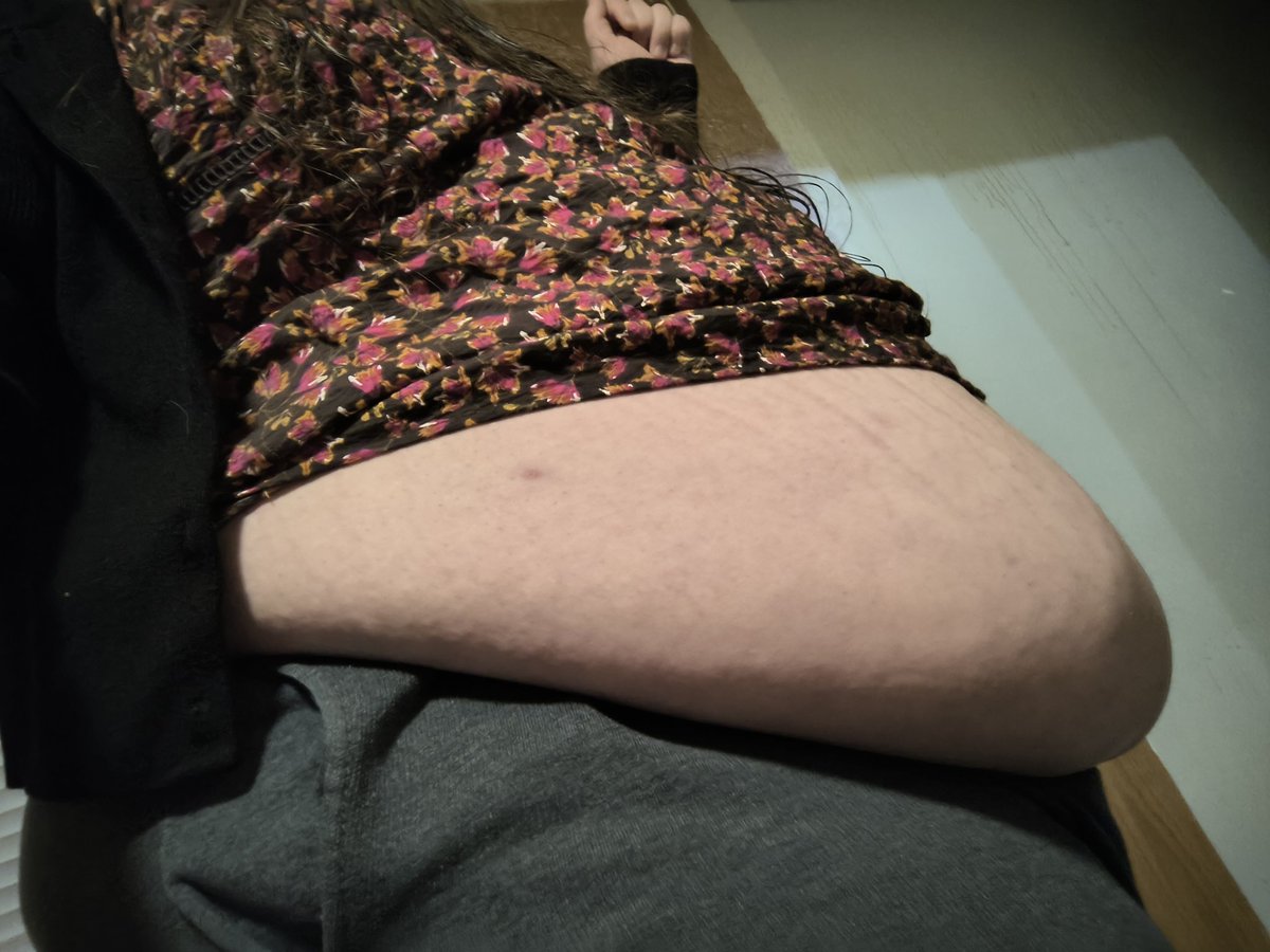 LargeLizardLady's tweet photo. Merry Gobble yall <3
Here's the before and after the feasting damage ;p

I think this is the most I've crammed into this thing for a holiday lol. https://t.co/5GwyR1UriF