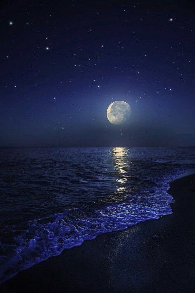 aestheticspost_'s tweet image. Ocean moon.
