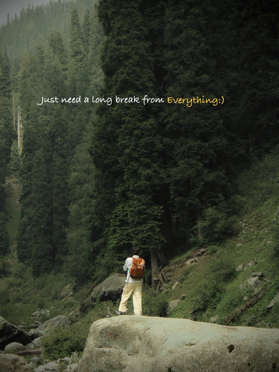 Mind_Essentials's tweet image. 