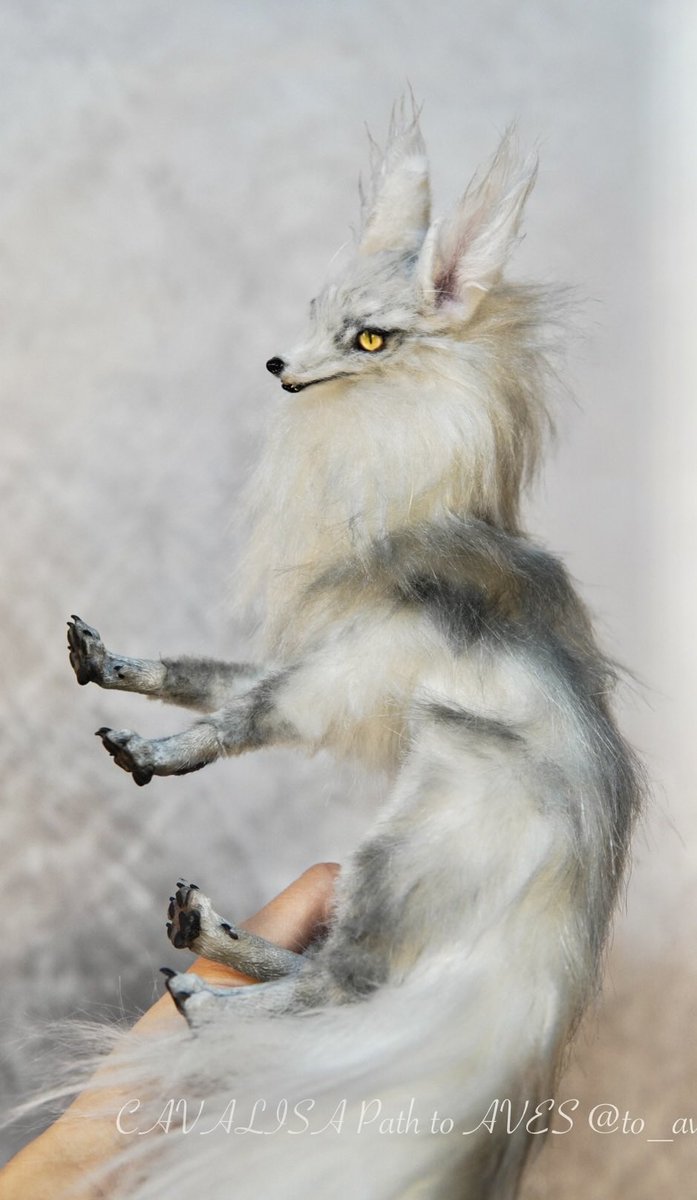 海外作家様作　アートドール　パステルモンスター CAVALISA/アートドール作家 (@to_aves) / Posts / X