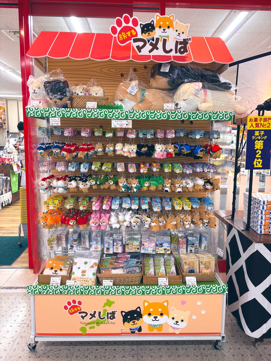 旅するマメしば (@tabi_mameshiba) / Posts / X