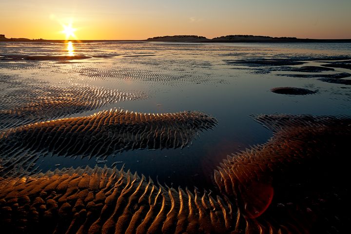 Fine Art Norfolk Photography tweet media