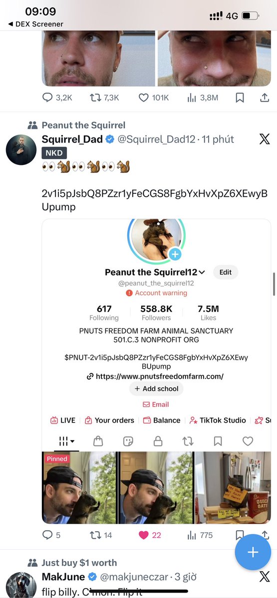 kong_sebastien's tweet image. Why post by @Squirrel_Dad12 not display on our group. Please fix it