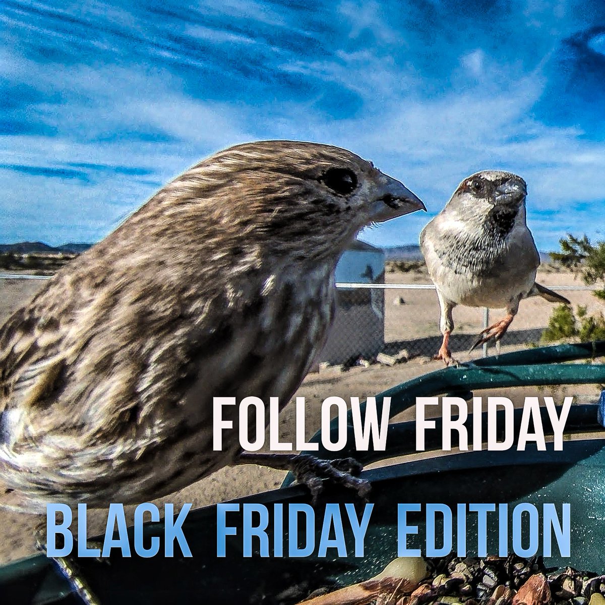 ronnieruff's tweet image. Tomorrow at 6AM PST
Don&apos;t shop. Let&apos;s do #FollowFriday on #BlackFriday 
More fun than buying useless stuff.