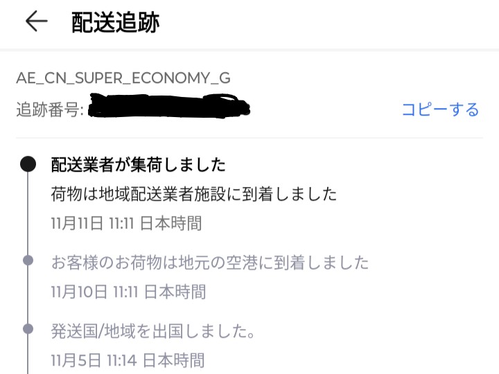同じ商品をアリエクスプレスの他のショップで注文したら1週間で先の