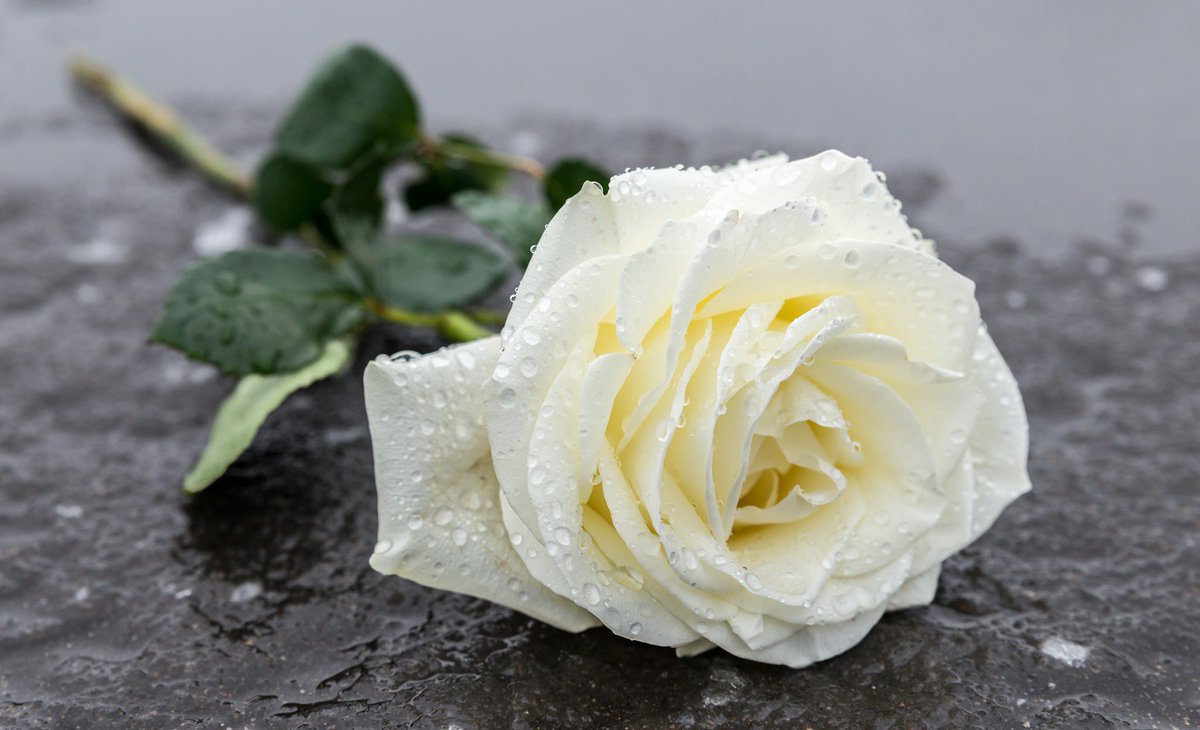 Ch_JesusChrist's tweet image. A Message of Consolation and Support to Victims of the Tai Po, Hong Kong Fire
 
The Asia Area Presidency of The Church of Jesus Christ of Latter-day Saints released the following statement after the devastating fire accident in Tai Po, Hong Kong on November 26, 2025.
We join with…