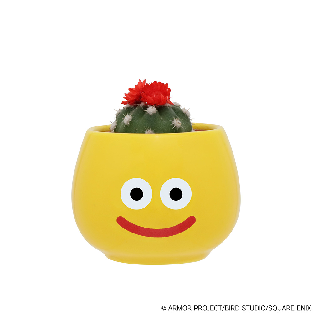 わぁぁぁああ🥰🥰