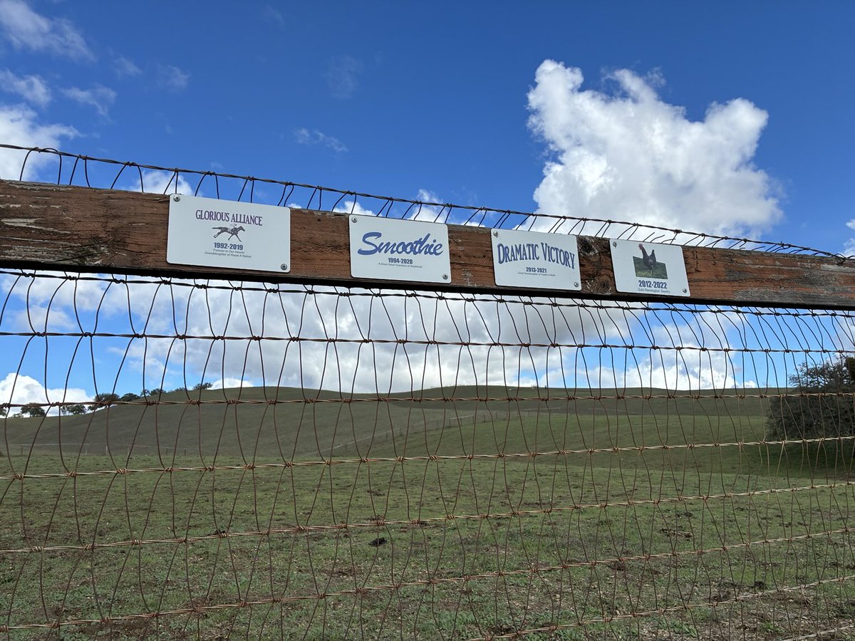 GloriousAllianc's tweet image. We wanted to take Thanksgiving to thank all of you for following us in this life and the next realm. Though you may not see the four of us as much, trust us, we’re here for all of you….