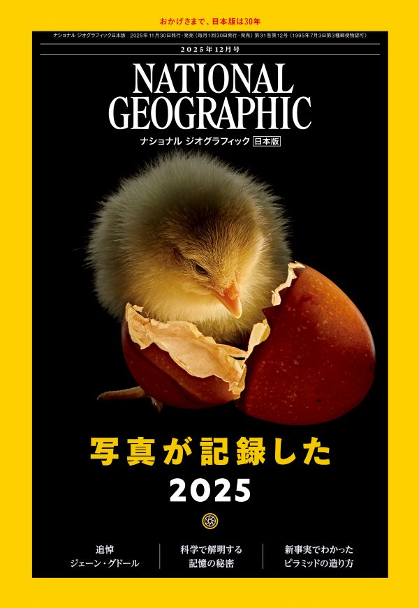 ナショナルジオグラフィック日本版 (@NatGeoMagJP) / Posts / X