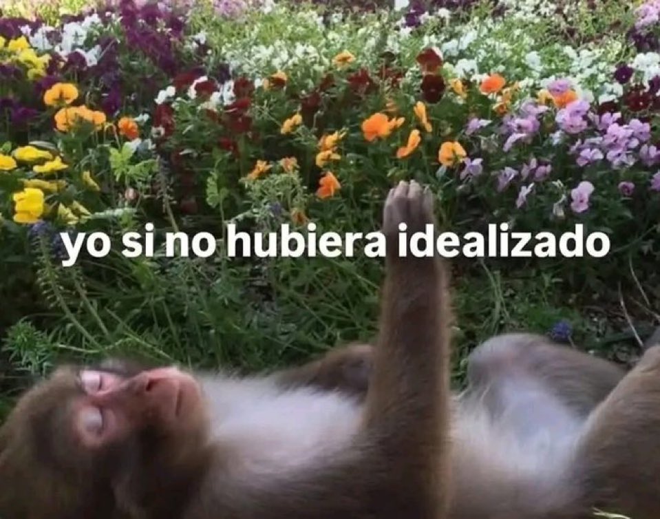 Salvador Iglesias Jr (@javisness) on Twitter photo 