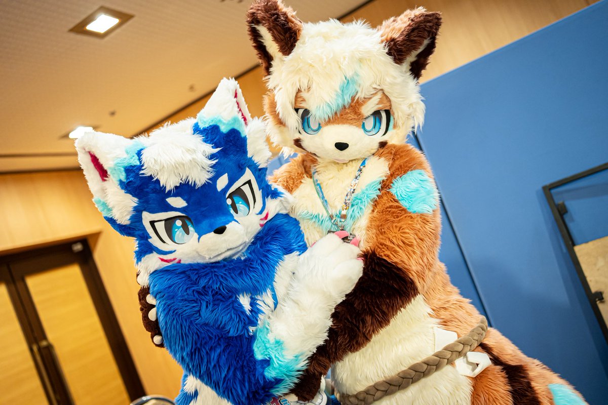 ggousuke555's tweet image. ナミカゼくんとてもかわいかった！
#FursuitFriday