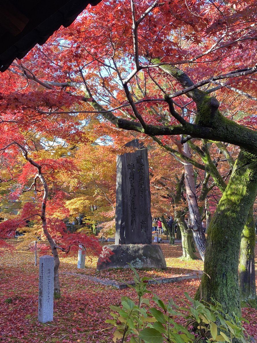 leafkyoto's tweet photo. 【京都の紅葉】
11月26日の［京都・東福寺］の紅葉の様子です🍁

京都・紅葉の見頃情報はコチラ
https://t.co/ILzuLTWFiQ
#紅葉 #京都紅葉2025 #東福寺 #leaf #leafkyoto https://t.co/I58LT7Ytre