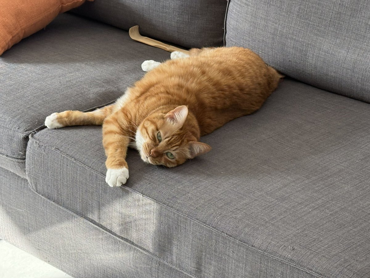 BadDogEgg's tweet image. 