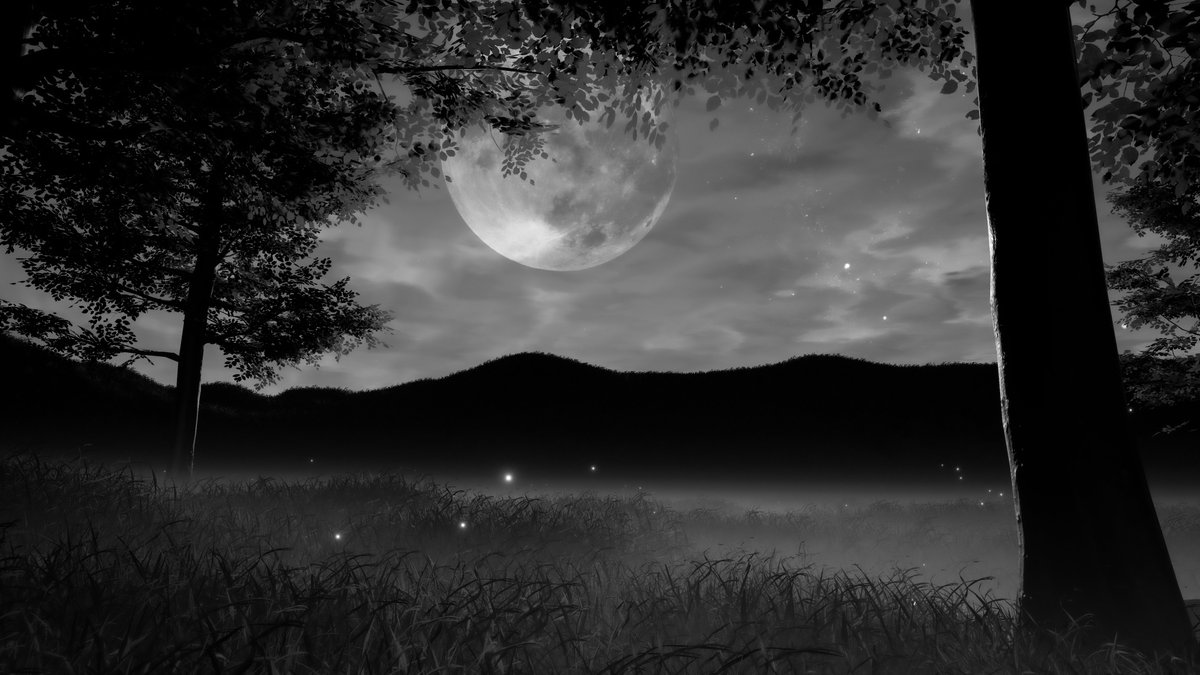 Kaerun 🐸📸 tweet media