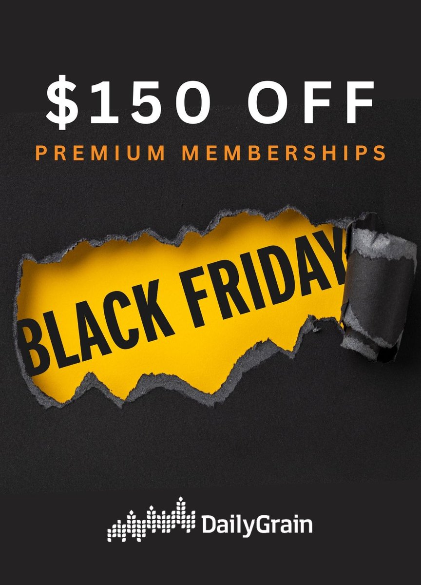 DailyGrain tweet media