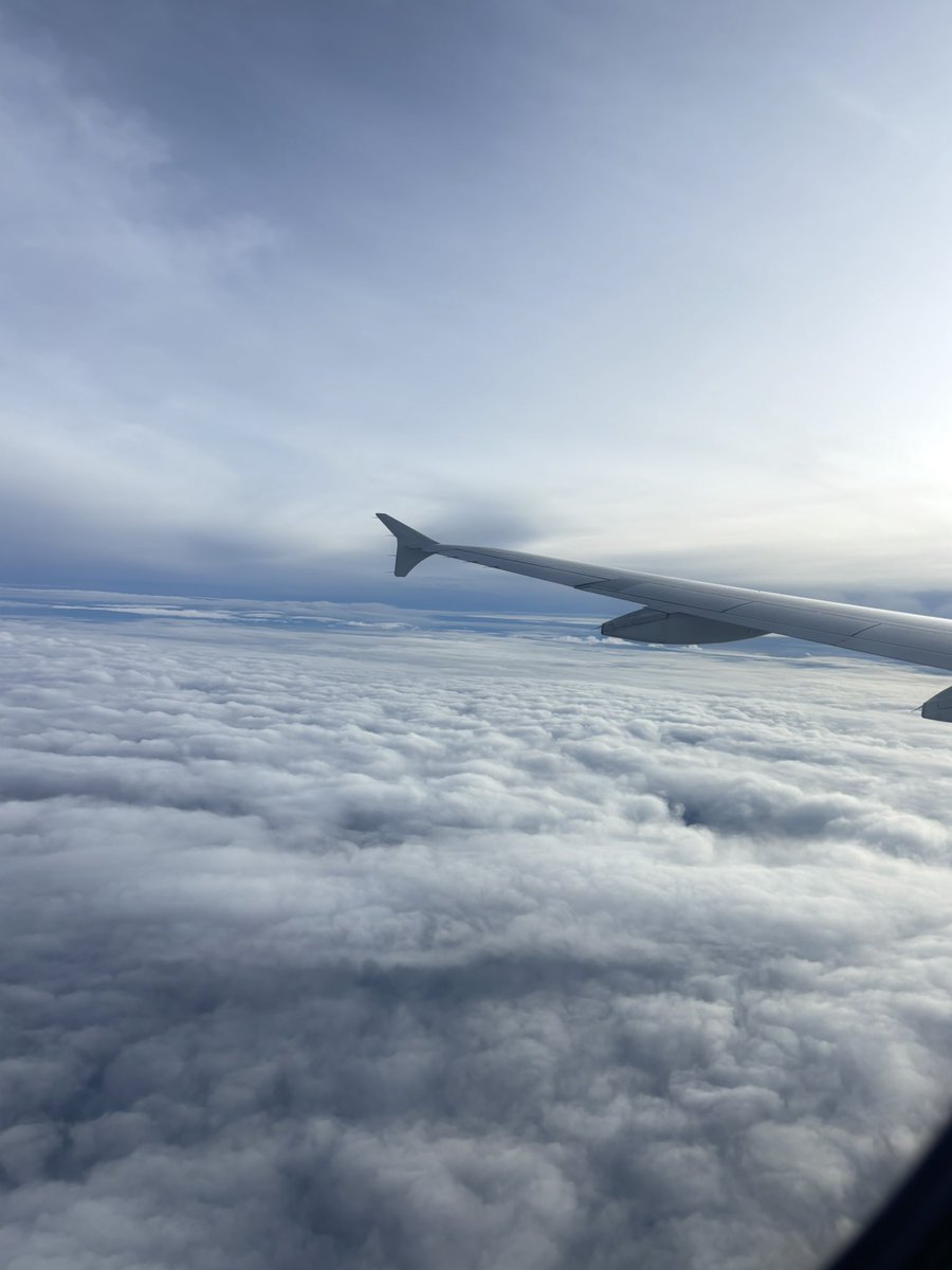 auliaalf tweet media