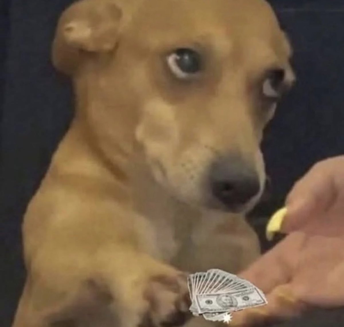 Cuando le pago lo que le debo a mi mamá y me lo acepta: